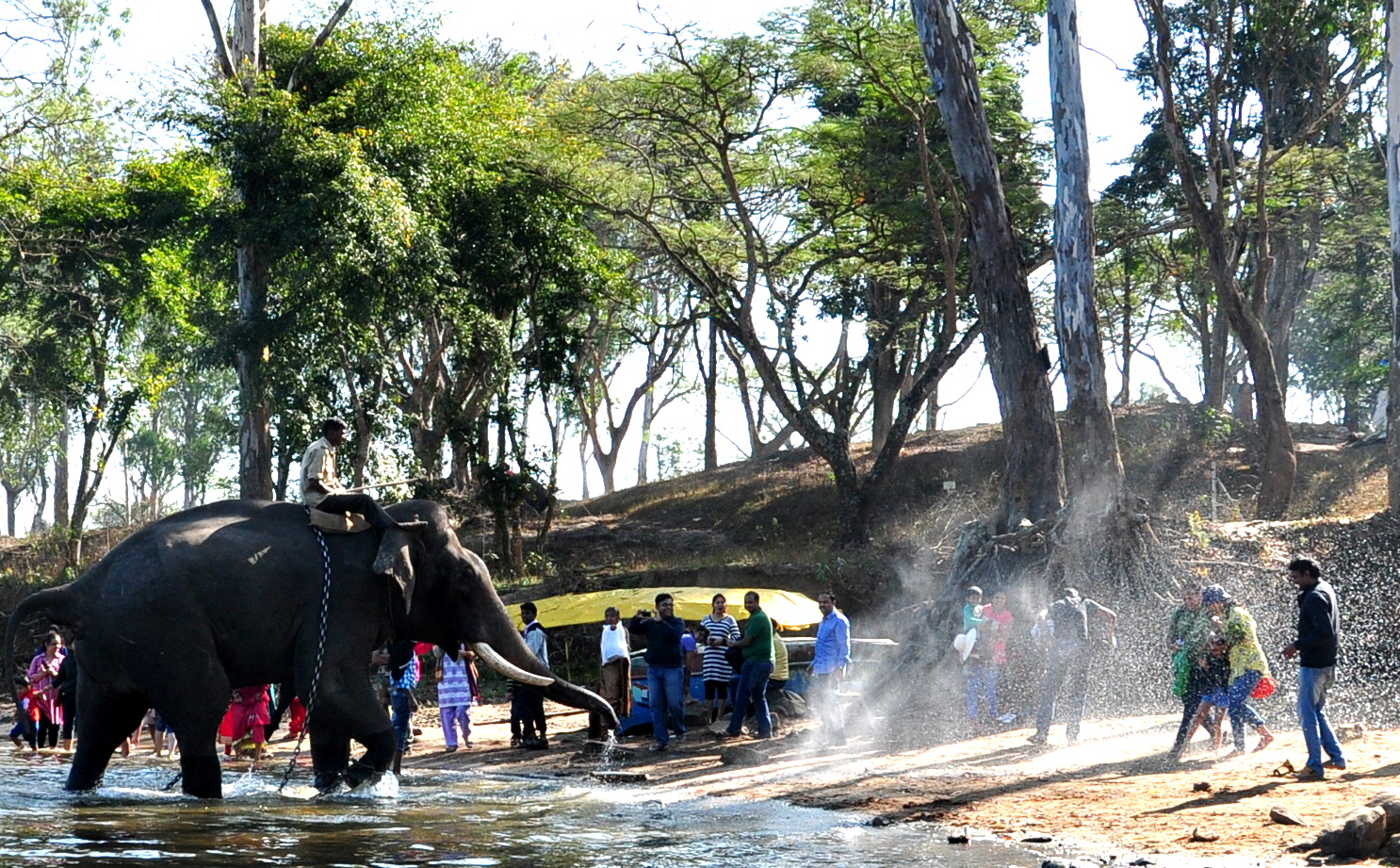 This elephant is chained, but still is playful enough to spray water on unsuspecting tourists. image source: Dipankar Paul/Folomojo