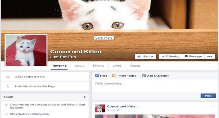 Concerned Kitten Courtesy: www.facebook.com