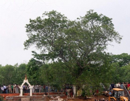 A scene from the Banajaga Yatra at Jagatsinghpur in Odisha
