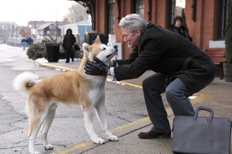 15 best Hollywood dog movies ever that every dog lover must watch!