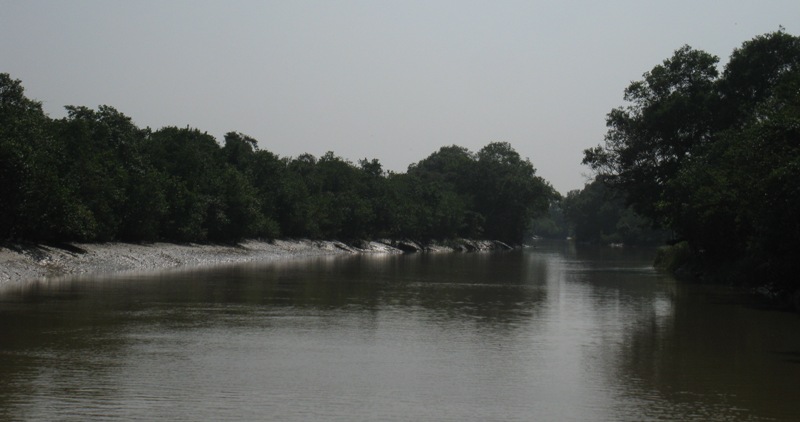 The Bhitarkanika Wetland in Kendrapara district of Odisha