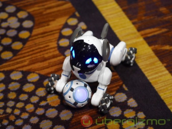 CHip Robotic Dog