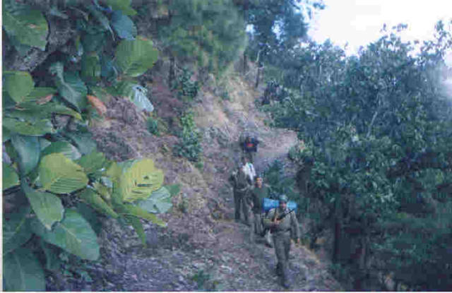 SFF during jungle warfare training