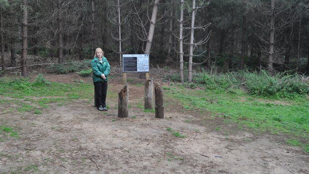 The place in the forest where the so called 'saucer' was seen Image courtesy: BBC
