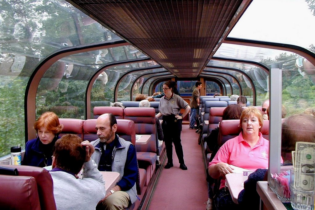 Автобусные экскурсии 2 дня. Автобус со стеклянной крышей. Автобус с панорамной крышей. Столик в автобусе. Поезд со стеклянной крышей.